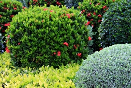 giardini