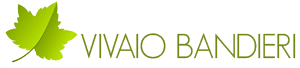 Vivaio Bandieri